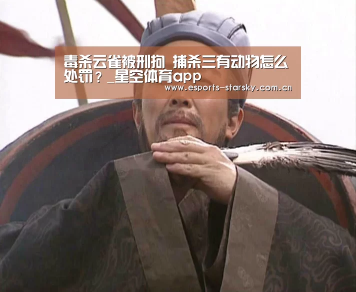 星空体育app