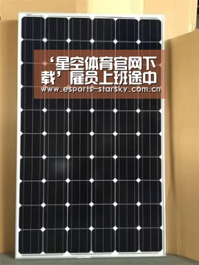 星空体育手机版